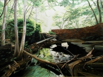 Georgia Creek