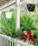 The Front Porch