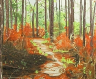 After the Burn