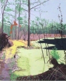 Gar Pond