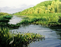 Indian Prarrie Canal