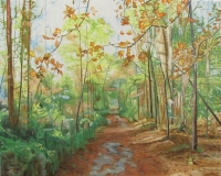 North Florida Preserve