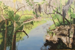 Suwannee at Swift Creek